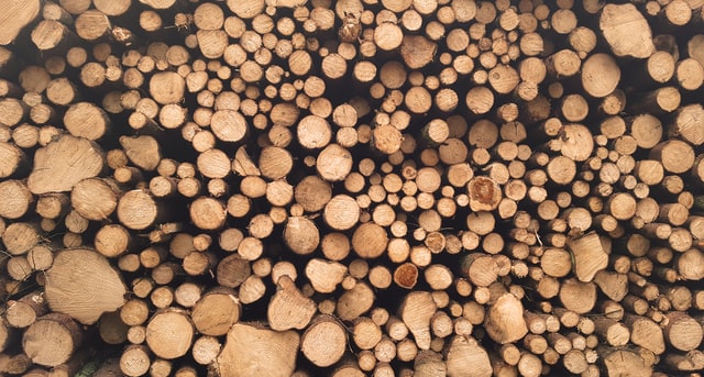 quel bois utiliser pour sa terrasse