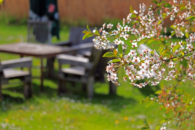 Bien choisir ses meubles de jardin