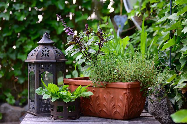 Quelles plantes mettre sur une terrasse